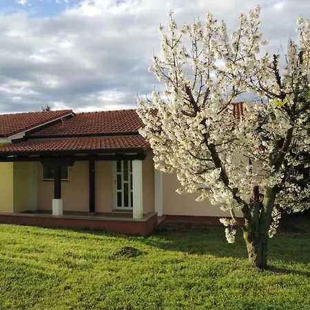 Lavanda 1 By Interhome Poreč